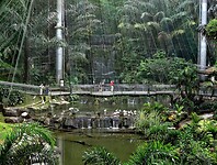 Maleisie En Java 2018 04 - Kuala Lumpur - Bird Park 04