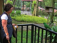 Maleisie En Java 2018 04 - Kuala Lumpur - Bird Park 37
