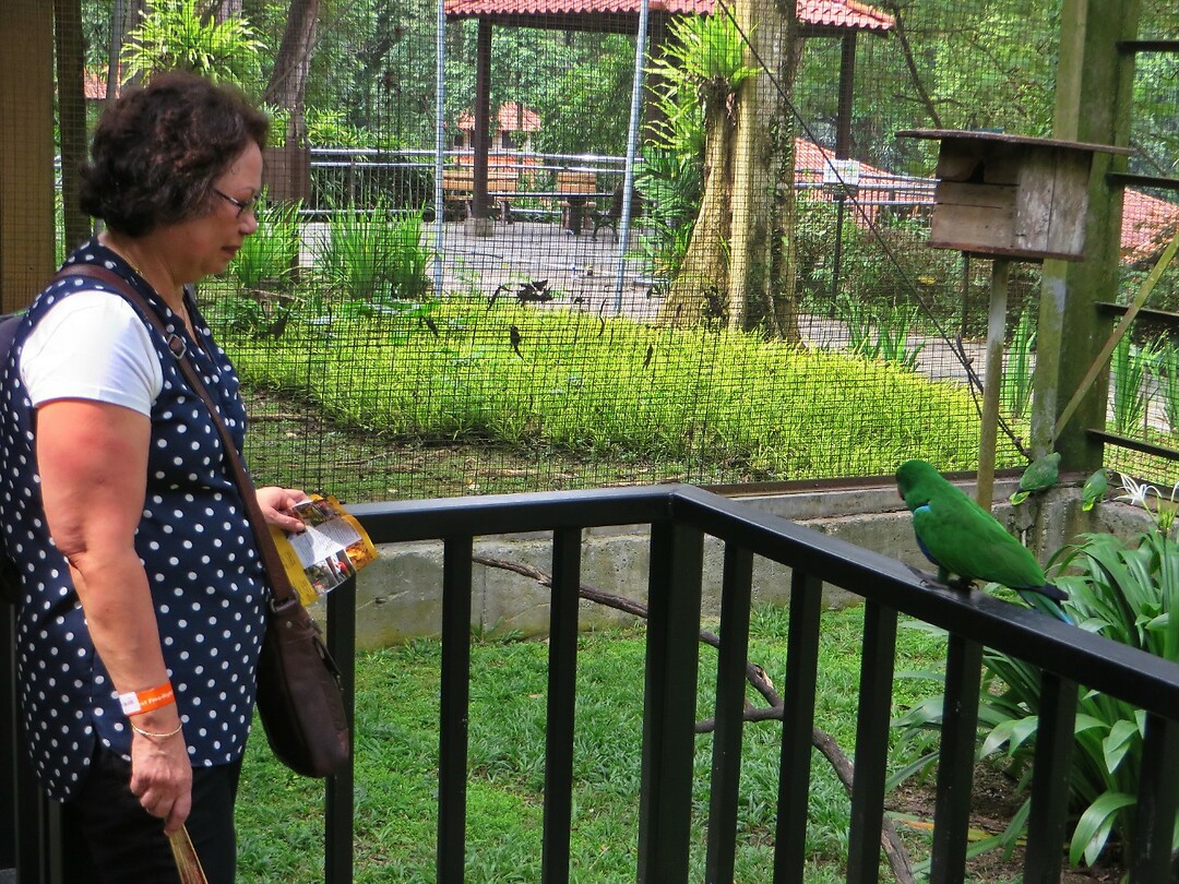 Maleisie En Java 2018 04 - Kuala Lumpur - Bird Park 37