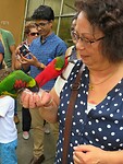 Maleisie En Java 2018 04 - Kuala Lumpur - Bird Park 41