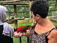 Maleisie En Java 2018 04 - Kuala Lumpur - Bird Park 42