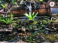 Maleisie En Java 2018 04 - Kuala Lumpur - Bird Park 47