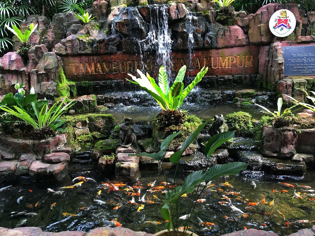 Maleisie En Java 2018 04 - Kuala Lumpur - Bird Park 47