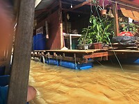 Maleisie En Java 2018 06 - Taman Negara - Huis 09