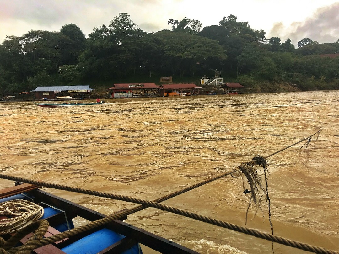 Maleisie En Java 2018 06 - Taman Negara - Huis 10