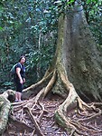 Maleisie En Java 2018 06 - Taman Negara - Jungle 02