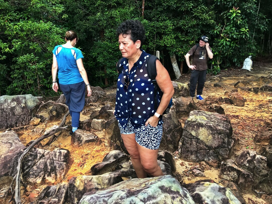 Maleisie En Java 2018 06 - Taman Negara - Jungle 04