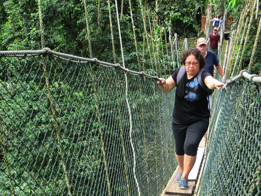 Maleisie En Java 2018 06 - Taman Negara - Jungle 12