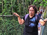 Maleisie En Java 2018 06 - Taman Negara - Jungle 13