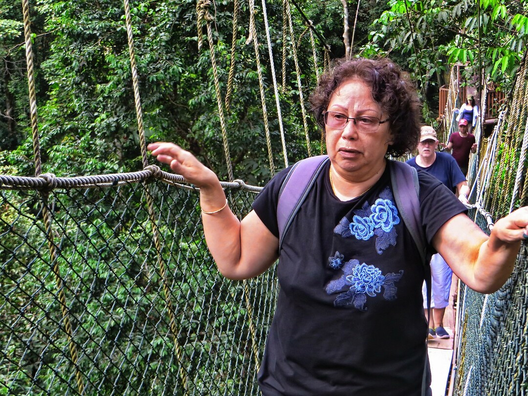 Maleisie En Java 2018 06 - Taman Negara - Jungle 13