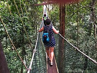 Maleisie En Java 2018 06 - Taman Negara - Jungle 15
