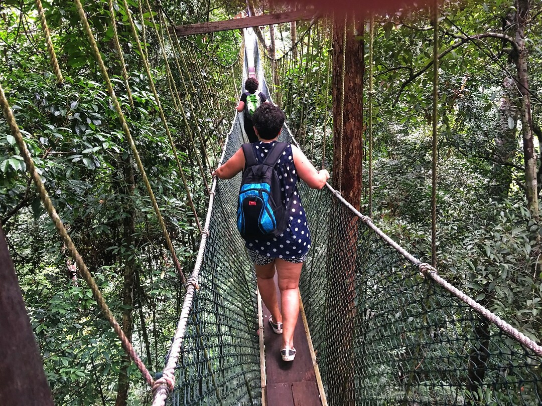 Maleisie En Java 2018 06 - Taman Negara - Jungle 15