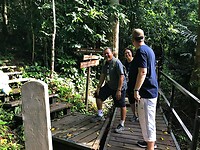 Maleisie En Java 2018 06 - Taman Negara - Jungle 23