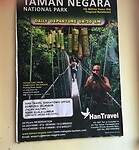 Maleisie En Java 2018 06 - Taman Negara - Jungle 29
