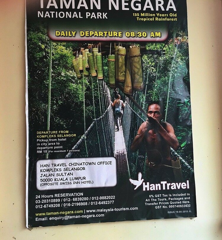 Maleisie En Java 2018 06 - Taman Negara - Jungle 29