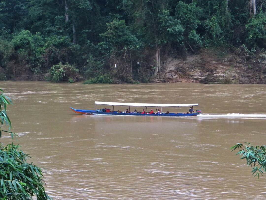 Maleisie En Java 2018 06 - Taman Negara - Terug 01