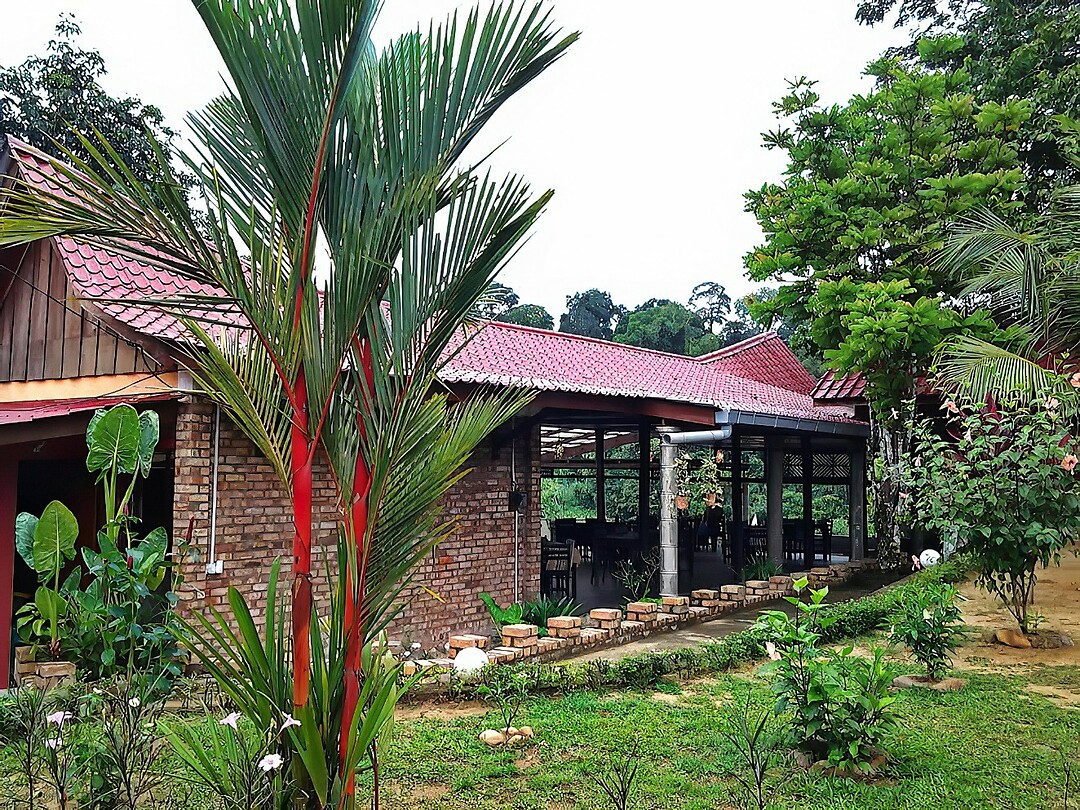 Maleisie En Java 2018 07 - Taman Negara - Hotel 02