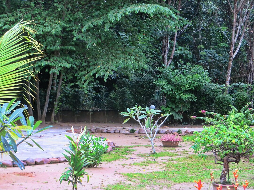 Maleisie En Java 2018 07 - Taman Negara - Hotel 05