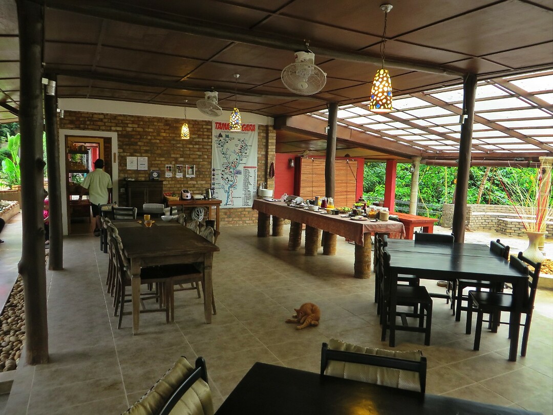 Maleisie En Java 2018 07 - Taman Negara - Hotel 06