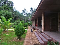 Maleisie En Java 2018 07 - Taman Negara - Hotel 07