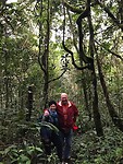 Maleisie En Java 2018 08 - Cameron Highland - Jeeptour 02