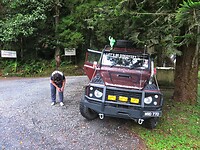 Maleisie En Java 2018 08 - Cameron Highland - Jeeptour 04