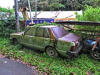 Maleisie En Java 2018 08 - Cameron Highland - Jeeptour 06