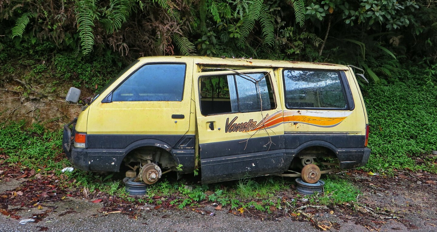 Maleisie En Java 2018 08 - Cameron Highland - Jeeptour 08