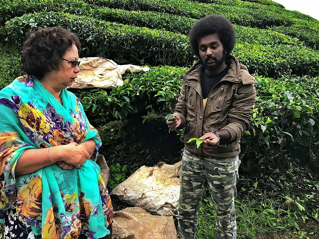 Maleisie En Java 2018 08 - Cameron Highland - Theeplantage 08