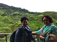Maleisie En Java 2018 08 - Cameron Highland - Theeplantage 09