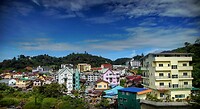Maleisie En Java 2018 08 - Cameron Highland - Theeplantage 12