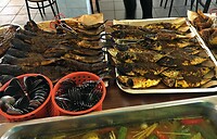 Maleisie En Java 2018 10 - Ipoh - Eten Lokaal 03