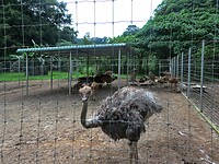 Maleisie En Java 2018 10 - Ipoh - Gunung Lang Recretional Park 03