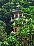 Maleisie En Java 2018 10 - Ipoh - Gunung Lang Recretional Park 06