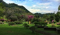 Maleisie En Java 2018 10 - Ipoh - Gunung Lang Recretional Park 09