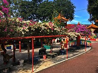 Maleisie En Java 2018 10 - Ipoh - Ling Sen Tong Temple 19