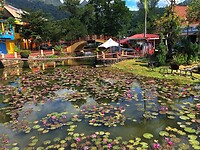 Maleisie En Java 2018 14 - Langkawi - Oriental Village 02