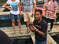 Maleisie En Java 2018 14 - Langkawi - Viskweker 02