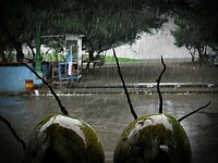 Maleisie En Java 2018 16 - Yogyakarta - Parangtritis Beach 19