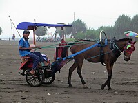 Maleisie En Java 2018 16 - Yogyakarta - Parangtritis Beach 23