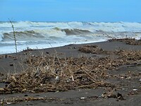 Maleisie En Java 2018 16 - Yogyakarta - Parangtritis Beach 34