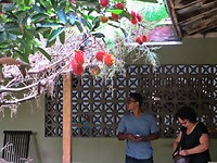 Maleisie En Java 2018 16 - Yogyakarta - Weeffabriek 01
