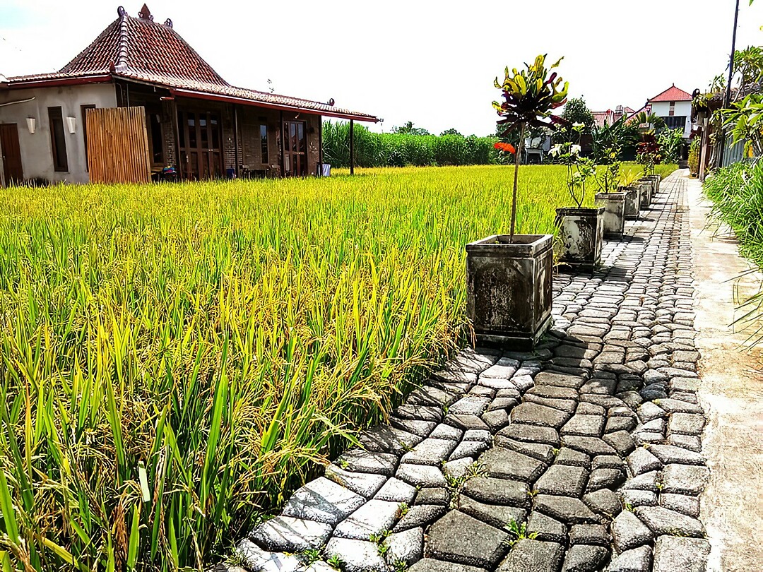 Maleisie En Java 2018 17 - Yokyakarta - Hotel 05