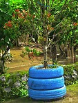 03 - Dieng Plateau - Huis Hastono 20