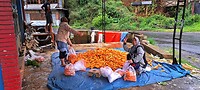 03 - Dieng Plateau - Onderweg 10a
