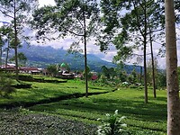 03 - Dieng Plateau - Onderweg 21a