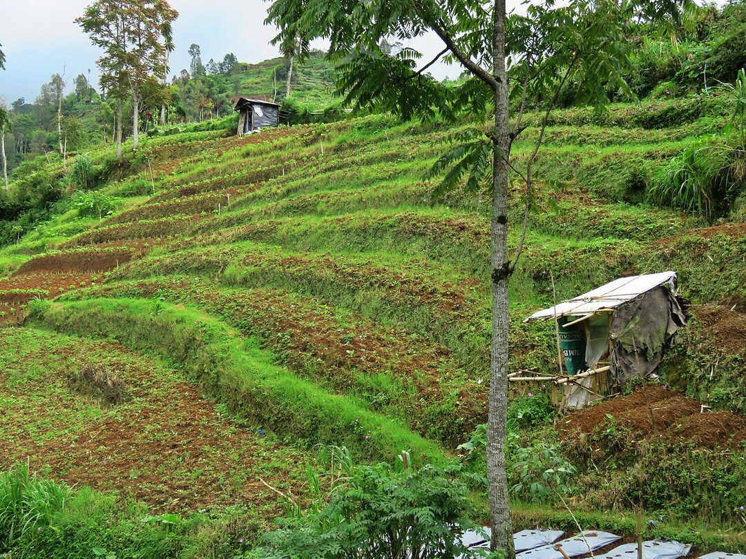03 - Dieng Plateau - Onderweg 23