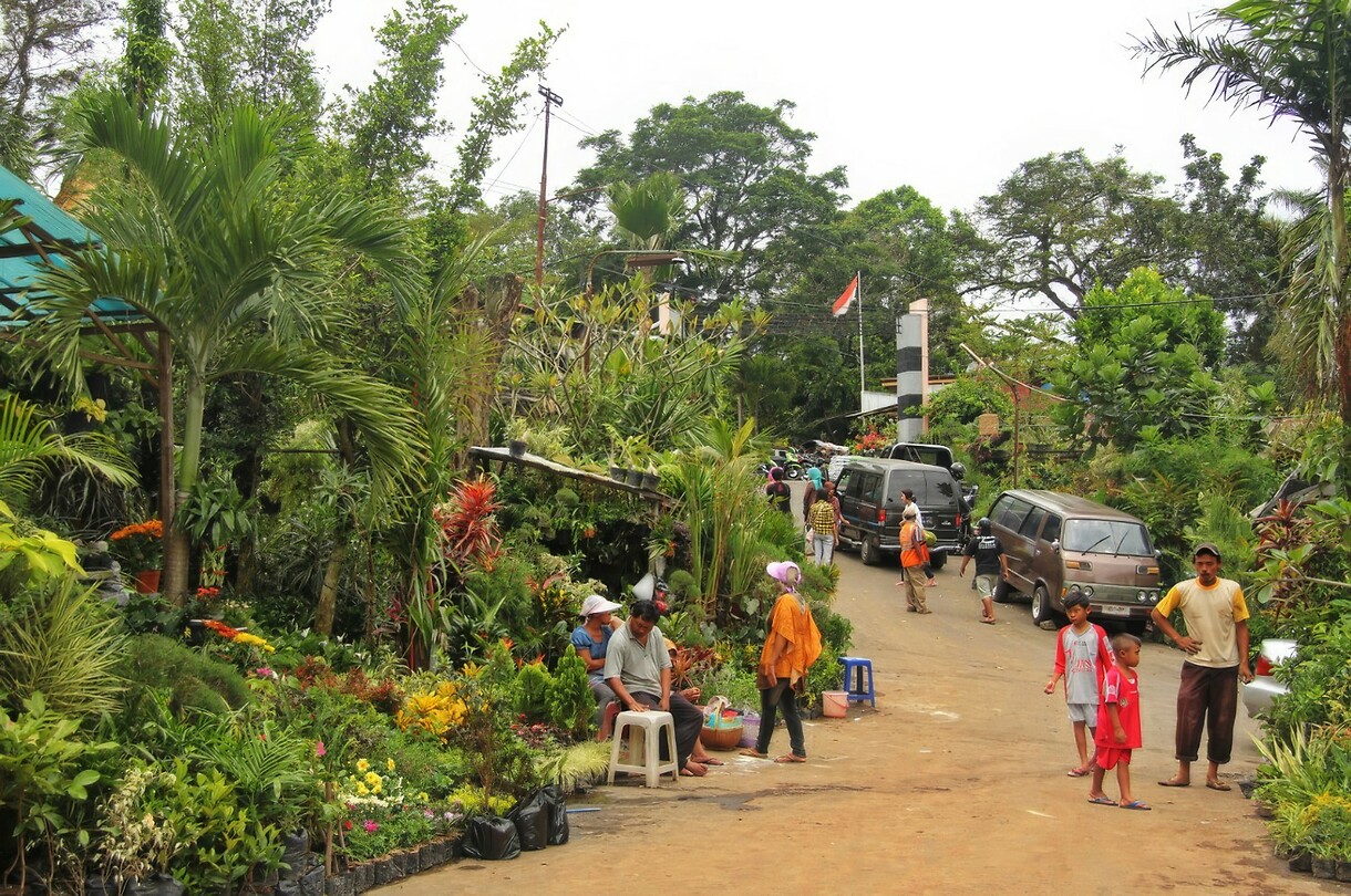 06 - Malang - Pasar Splendid Bloemenmarkt 06