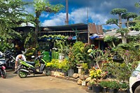 06 - Malang - Pasar Splendid Bloemenmarkt 07