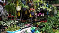 06 - Malang - Pasar Splendid Bloemenmarkt 10